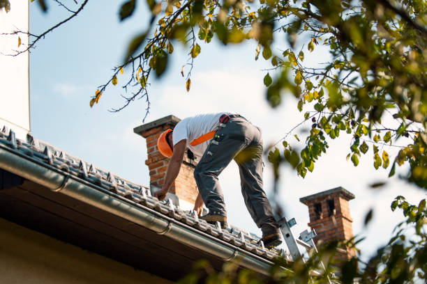 Best Storm Damage Roof Repair  in Shelby, NC